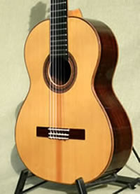 Arias Guitar 2A