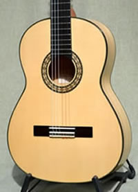 Arias Flamenco Guitar