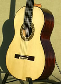 Arias historical guitar