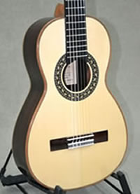 Arias Parlor Guitar