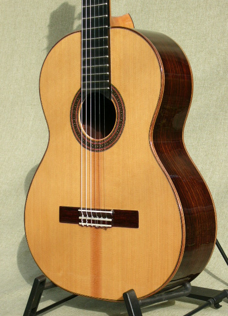 2A-Indian Rosewood Arias guitar