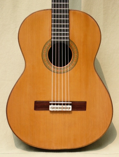 Arias 1A Maestro-Indian Rosewood Arias Guitar