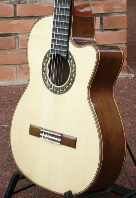 Arias 2A-Walnut Guitar