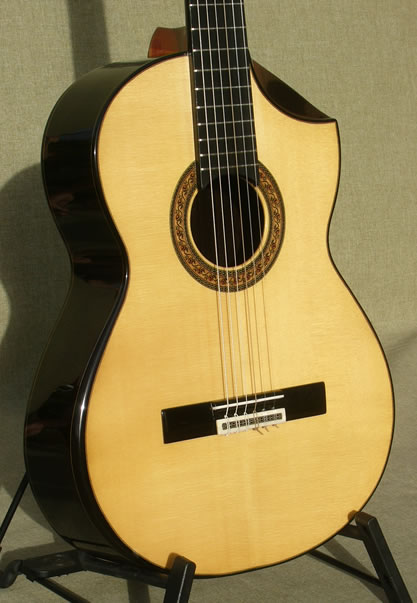 Arias 1A Maestro-African Blackwood Arias Guitar