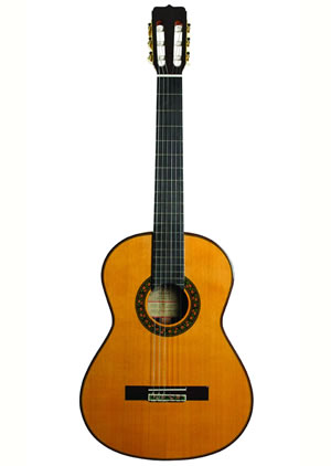 GUITARRA DEL TIEMPO