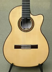 Arias Guitar 1A