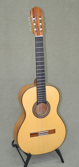 Arias 2A-Paraiso Guitar