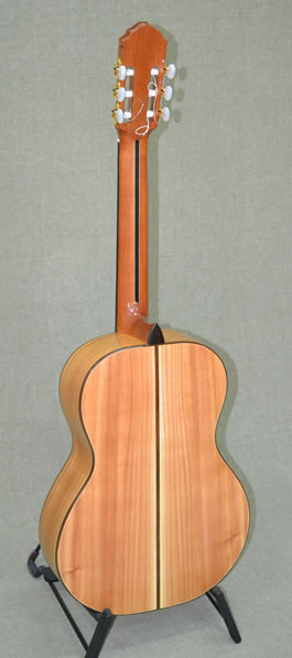 Arias 2A-Paraiso Guitar