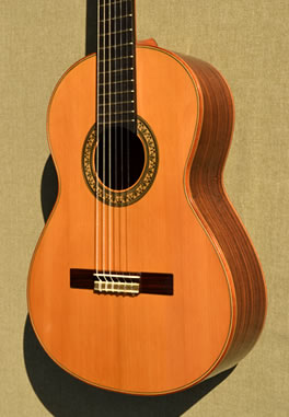 Flamenco Guitar stock