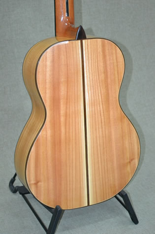 Arias 2A-Paraiso Guitar